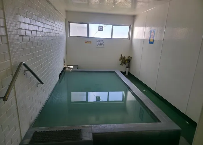 Kuirau Park Motor Lodge- Thermal Mineral Pool 3*