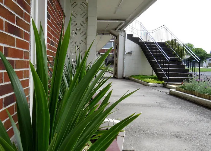 Kuirau Park Motor Lodge- Thermal Mineral Pool 로토루아
